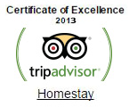 tripadvisor