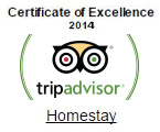 tripadvisor