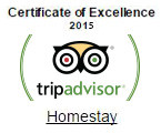 tripadvisor