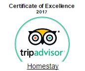 tripadvisor